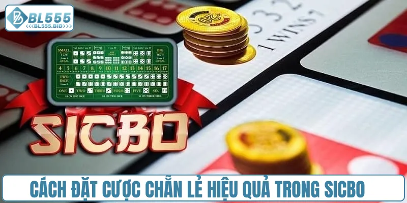 Cách đặt cược chẵn lẻ hiệu quả trong Sicbo