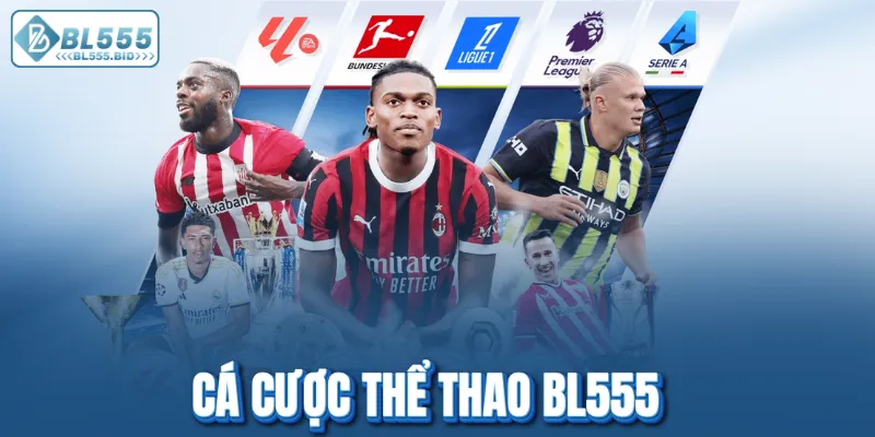 Đặt cược xanh chín tại các giải đấu thể thao