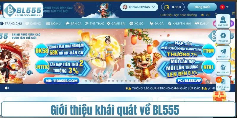 Giới thiệu khái quát về BL555