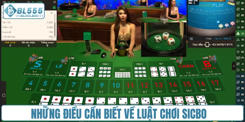 Những điều cần biết về luật chơi Sicbo