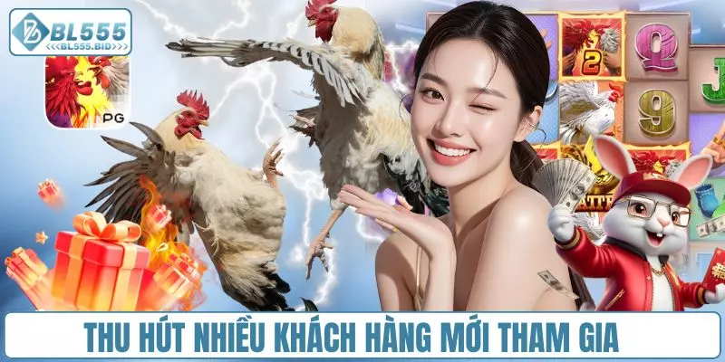 Thu hút nhiều khách hàng mới tham gia cá cược