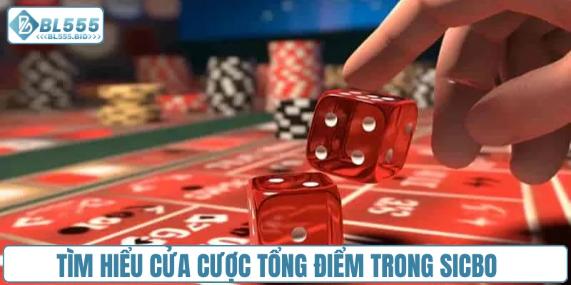 Tìm hiểu cửa cược tổng điểm trong Sicbo
